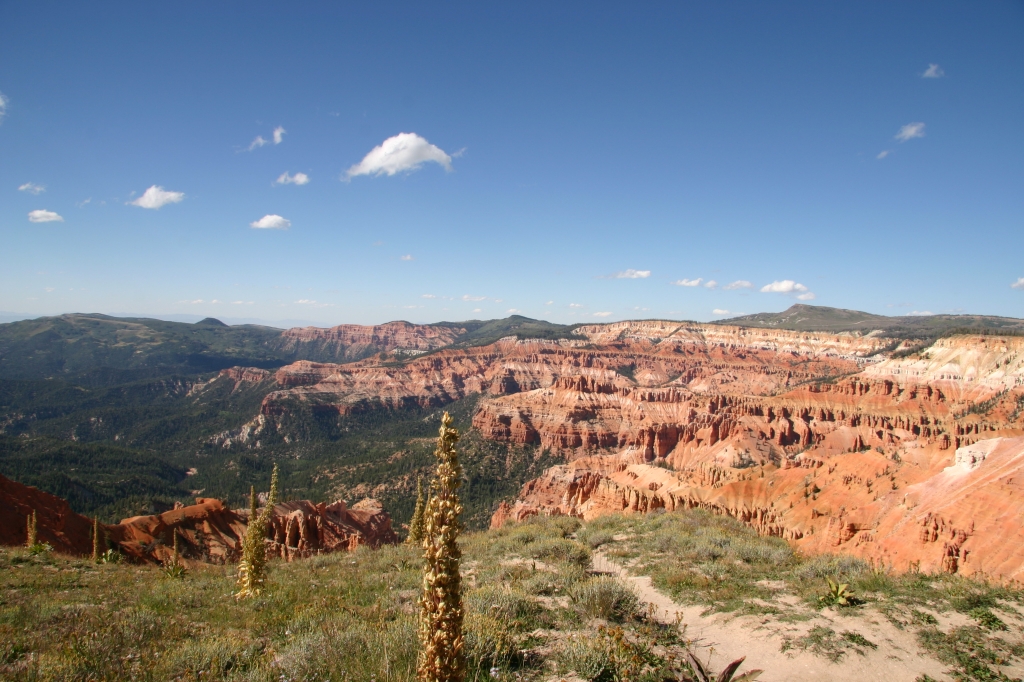 04 - Cedar Break (6).JPG